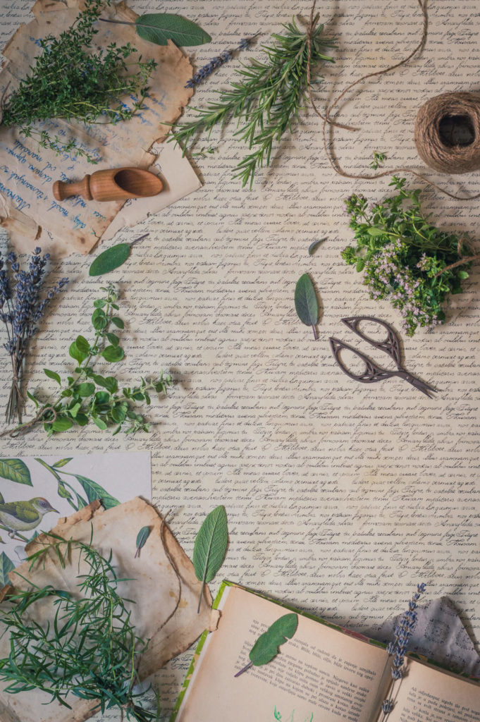 fresh herbs de provence on vintage background