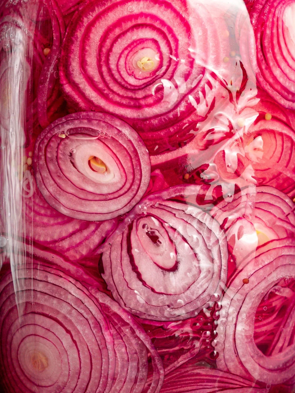 quick pickled red onions in a jar