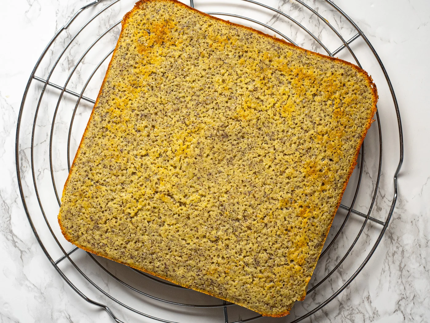 freshly baked poppy seed cake, cooling on the cooling rack