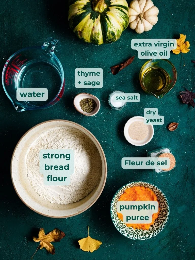 ingredients for making no knead savory pumpkin fooocaccia