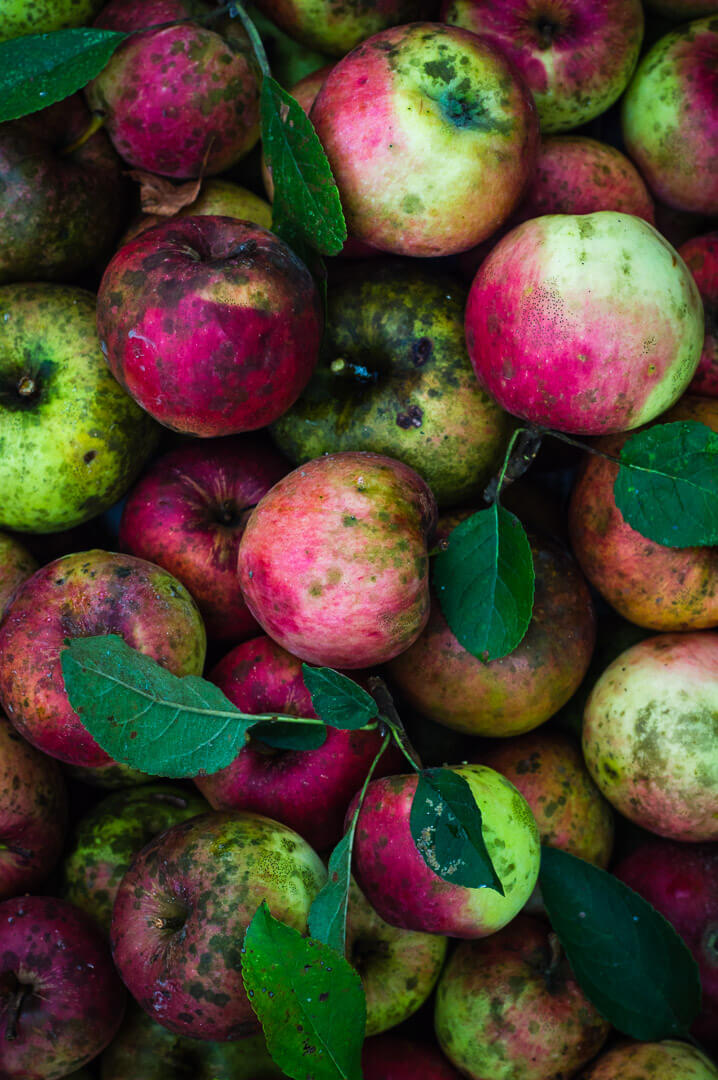 bruised apples1 Food and Mood